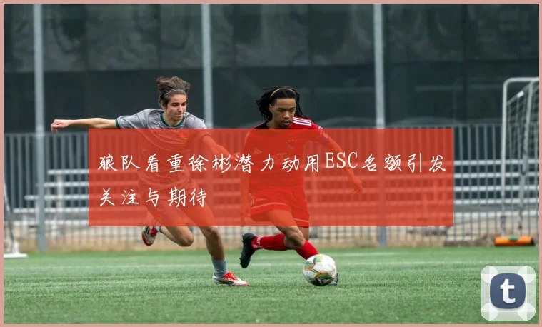 狼队看重徐彬潜力动用ESC名额引发关注与期待